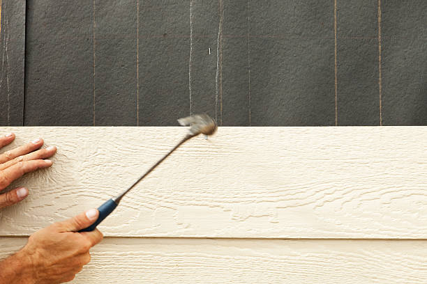 Best Custom Siding Design  in Granby, MO